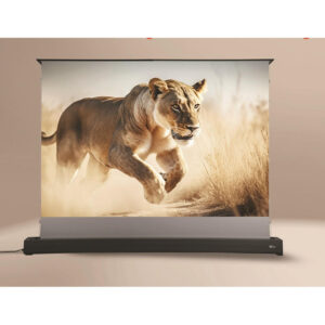 PROJECTOR SCREEN CINECAST FR100